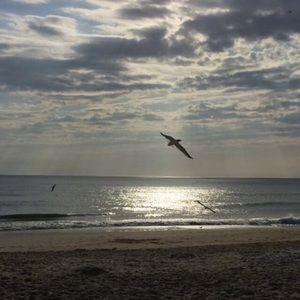 Meet your Posher, Kris